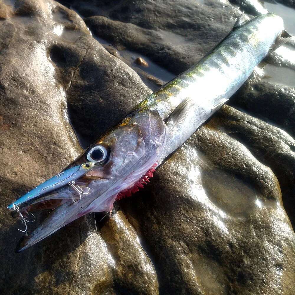 GOBAIT VIB Fishing Lure 20g 25 - Fishing Lure Blade Bait recensione e prezzo