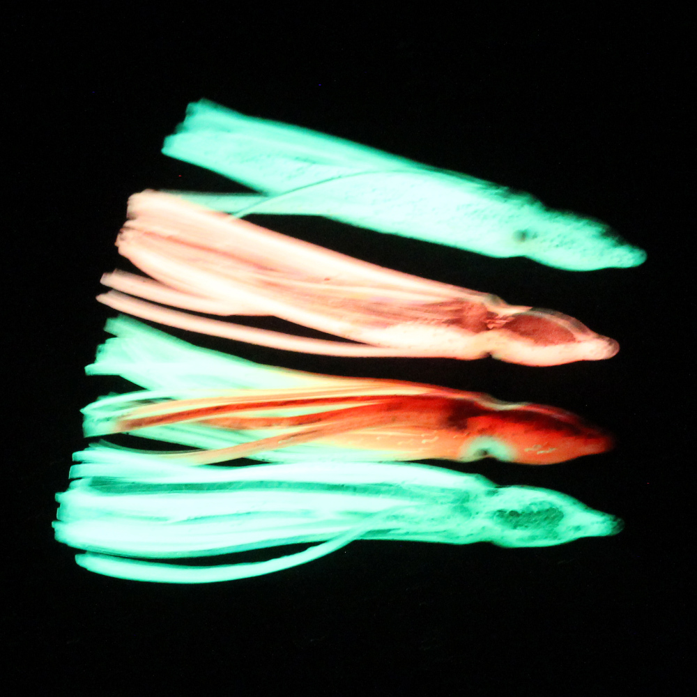 10 pcs soft light octopus squi - Fishing Lure Buzzbait recensione e prezzo