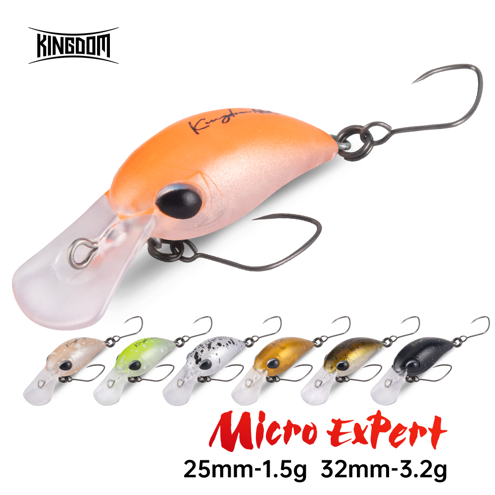 Kingdom Fishing Lure Micro Exp - Fishing Lure Crankbait recensione e prezzo